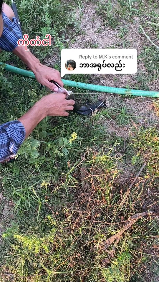 TikTok video thumbnail by user9084793656166