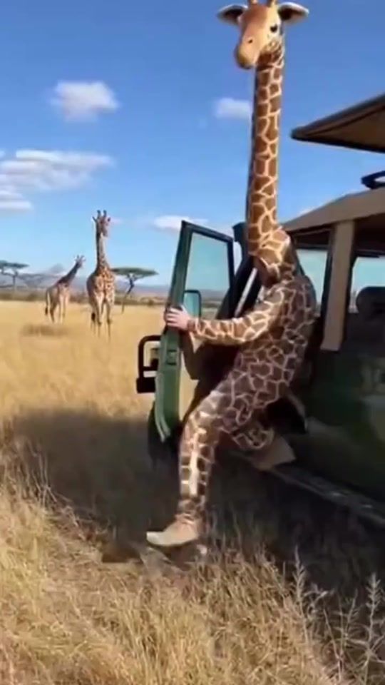 TikTok video thumbnail by zov7138