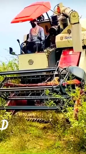 TikTok video thumbnail by _harvester_world