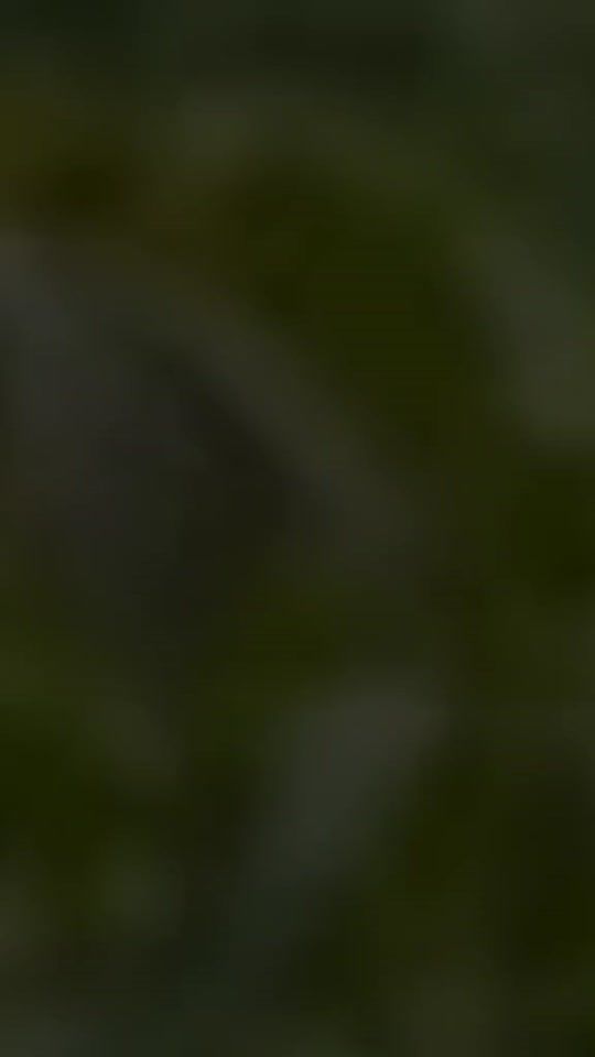 TikTok video thumbnail by .dewikemuning