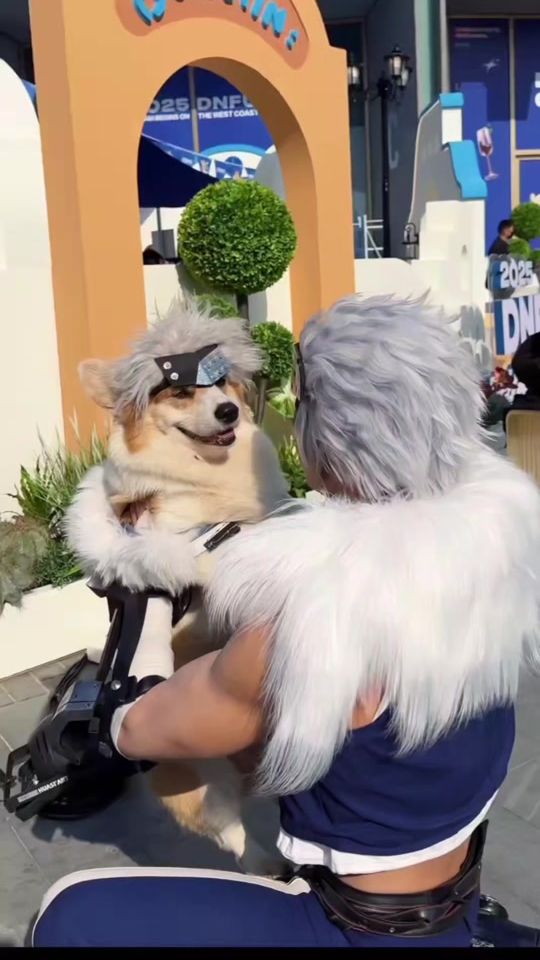 TikTok video thumbnail by furryinaction