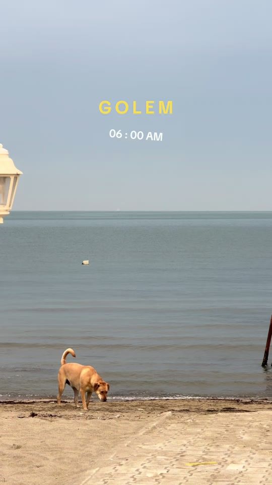 TikTok video thumbnail by exploregolem