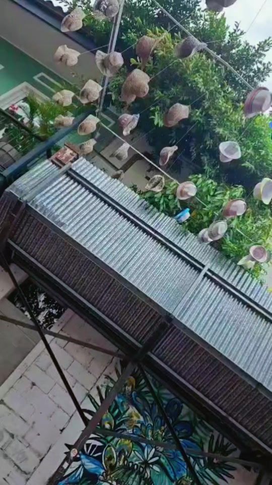 TikTok video thumbnail by kaj_ksk