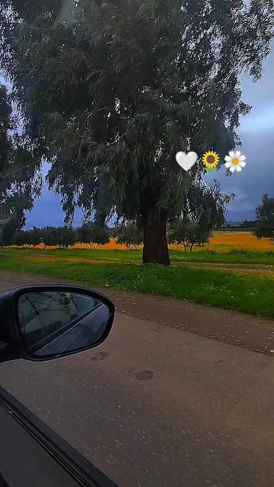 TikTok video thumbnail by tamazirt67