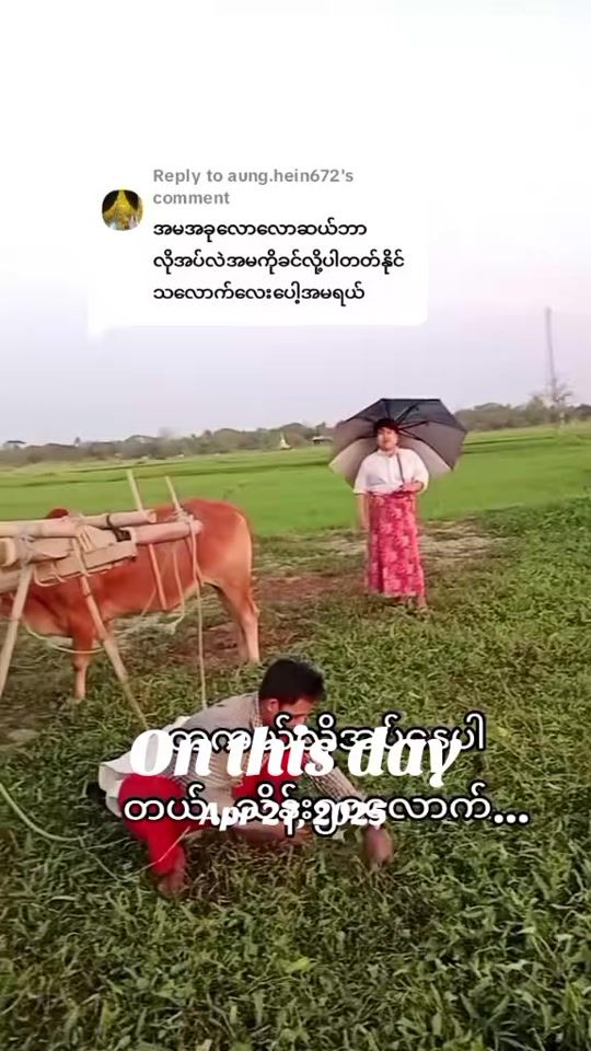 TikTok video thumbnail by ms.yu.lay