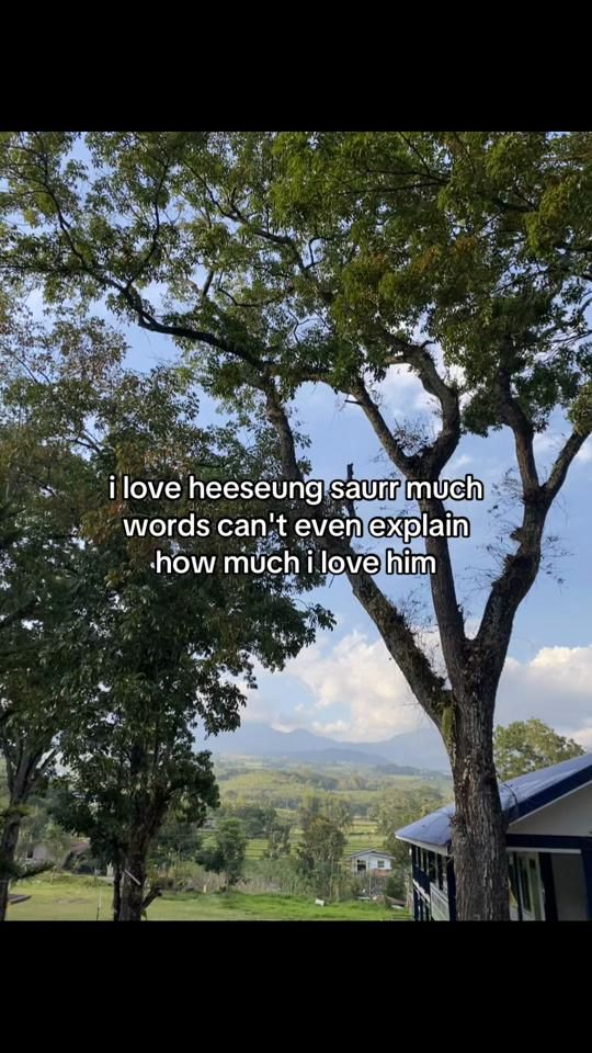 TikTok video thumbnail by vvayex