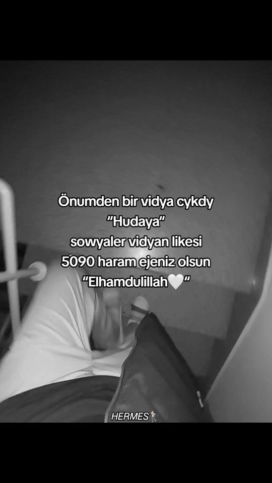 TikTok video thumbnail by hermes__xs