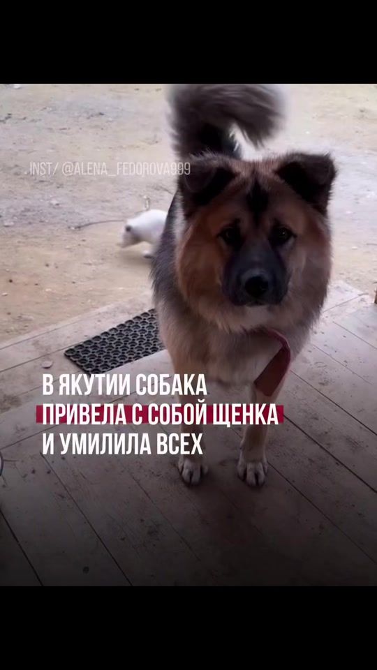 TikTok video thumbnail by yunus__karluk