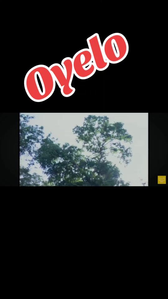 TikTok video thumbnail by saludverdadyvidam