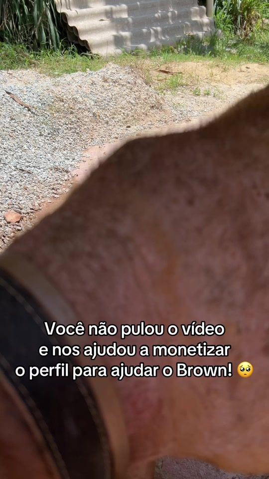 TikTok video thumbnail by zooluz6