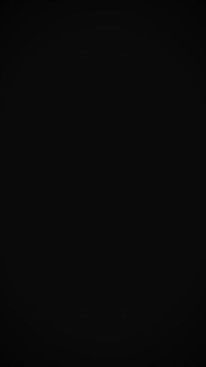 TikTok video thumbnail by boi_clema