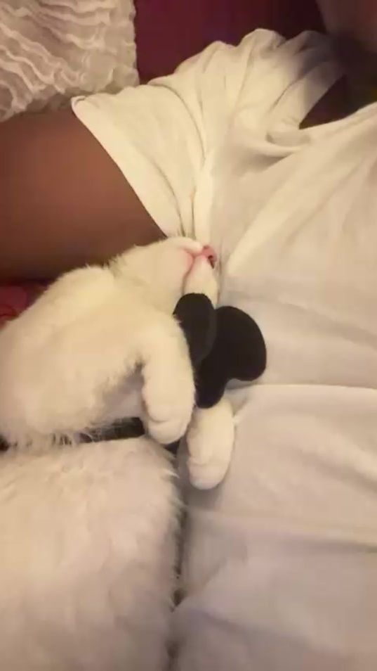 TikTok video thumbnail by ekrams_molly