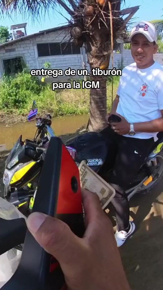 TikTok video thumbnail by conejo.gris2