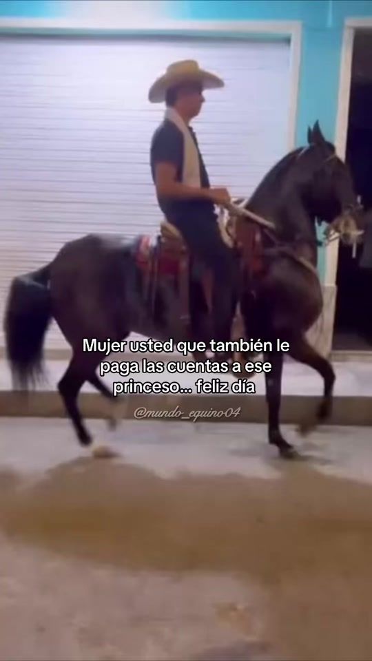 TikTok video thumbnail by mundo_equino04