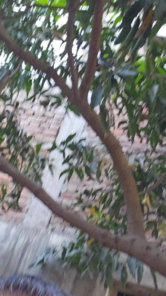 TikTok video thumbnail by munnasingh6690