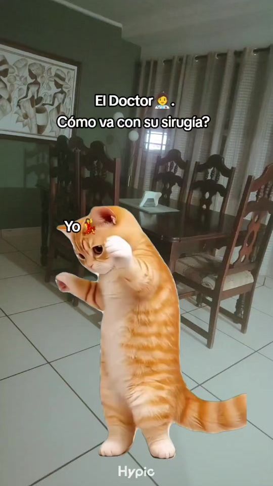 TikTok video thumbnail by marisol.o6
