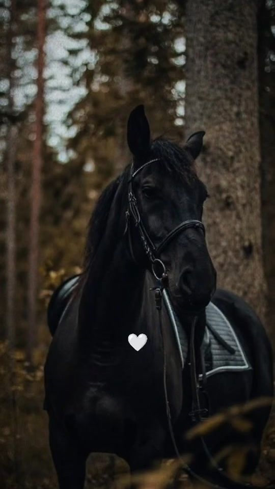 TikTok video thumbnail by misael__130