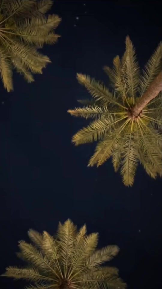 TikTok video thumbnail by m2242015