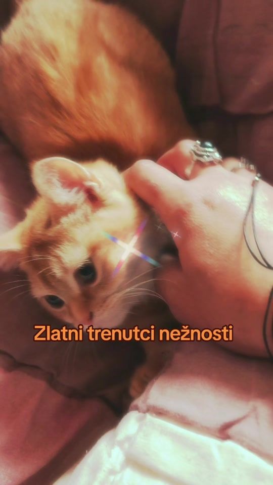TikTok video thumbnail by britanskemacke
