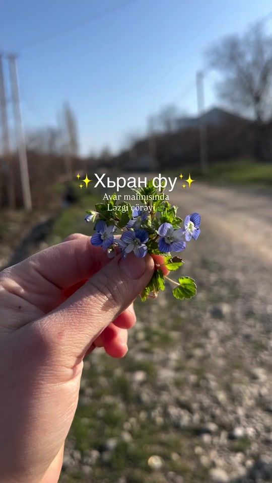 TikTok video thumbnail by kusarionline