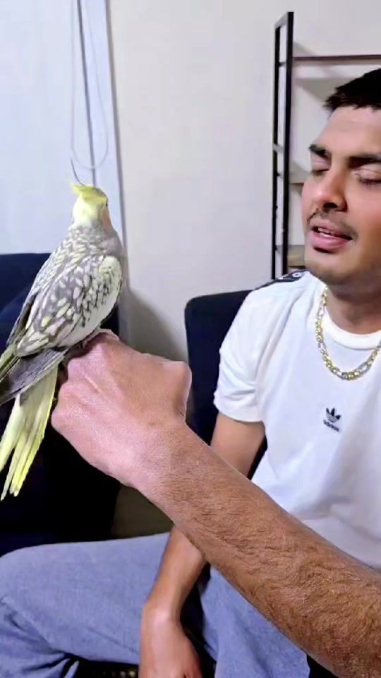 TikTok video thumbnail by jnrabdul