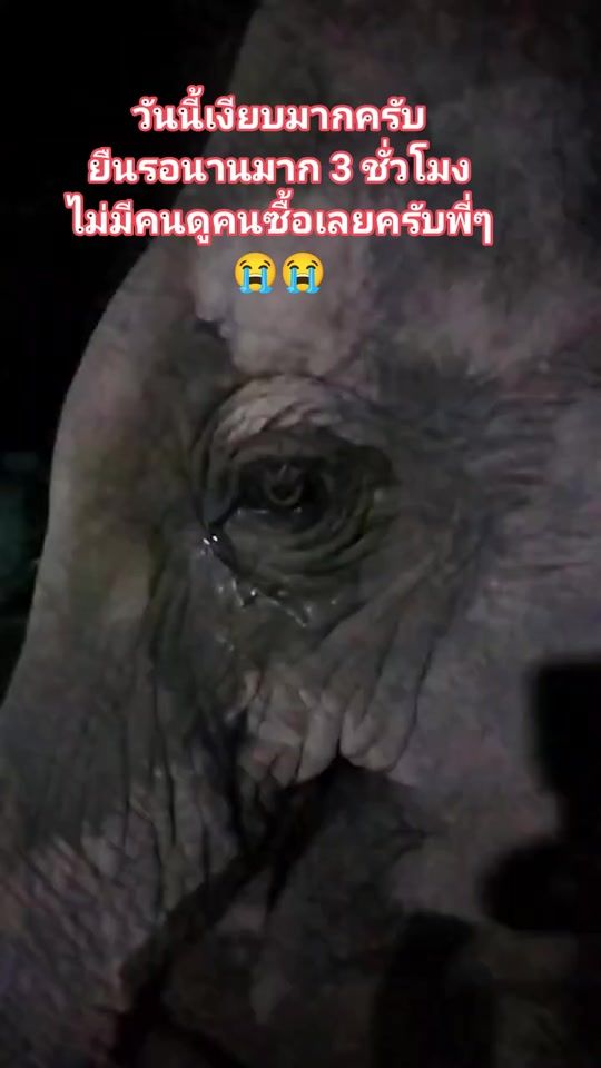 TikTok video thumbnail by nattharida10