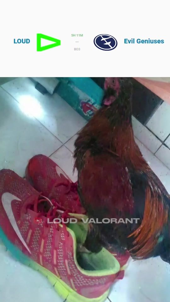 TikTok video thumbnail by loud_valorant