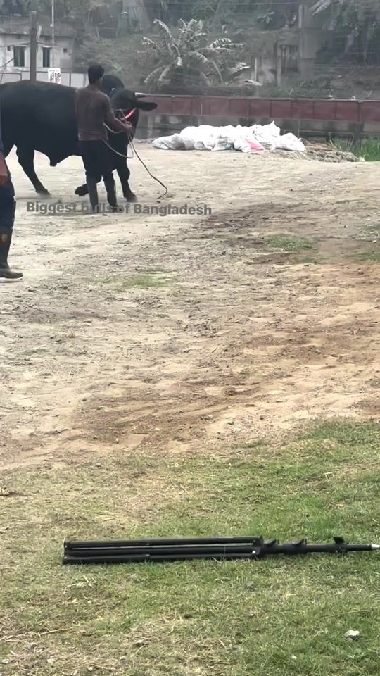 TikTok video thumbnail by md_jahed35