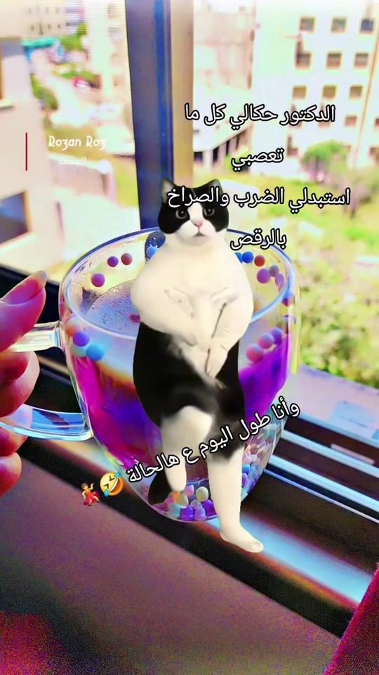 TikTok video thumbnail by purple.ome
