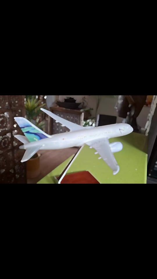 TikTok video thumbnail by thrustflapsdown