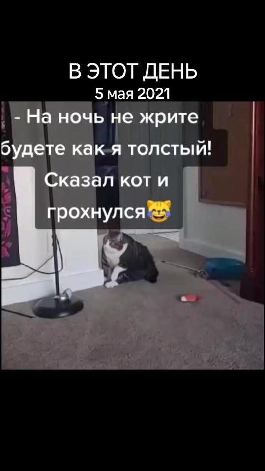 TikTok video thumbnail by zarema9.8