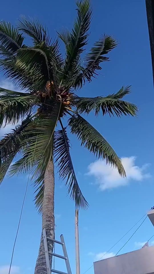 TikTok video thumbnail by visham.gundagin7