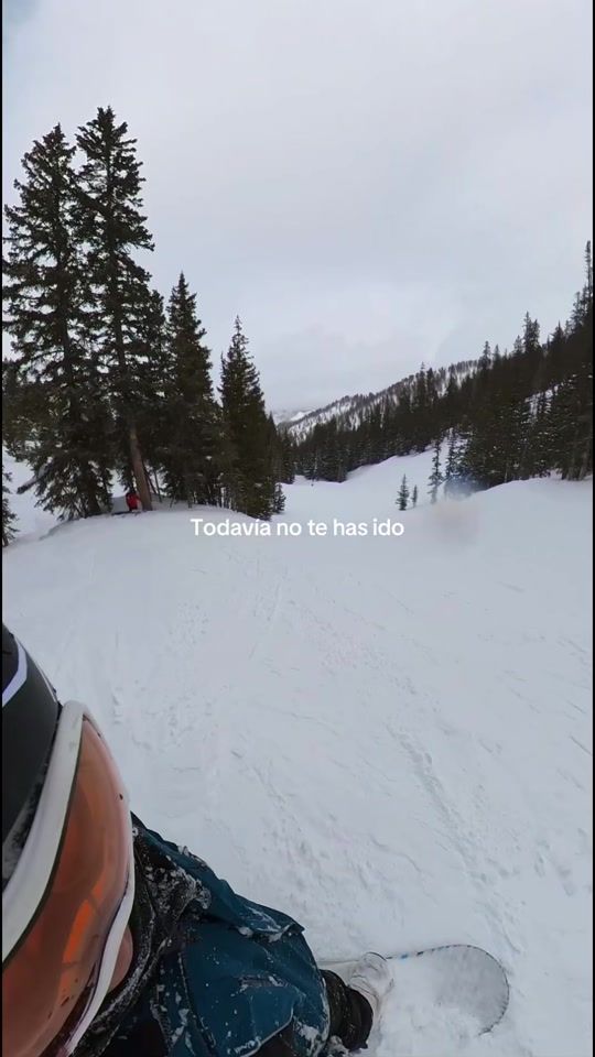 TikTok video thumbnail by dimelochrist
