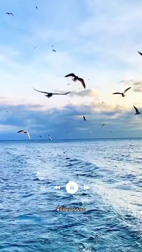 TikTok video thumbnail by dyfagk4b3bin