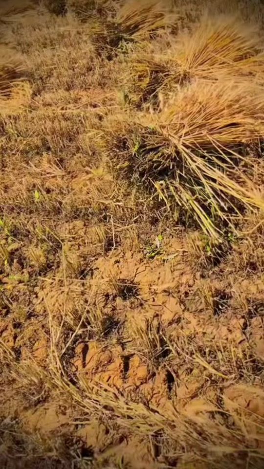 TikTok video thumbnail by jamshaid305