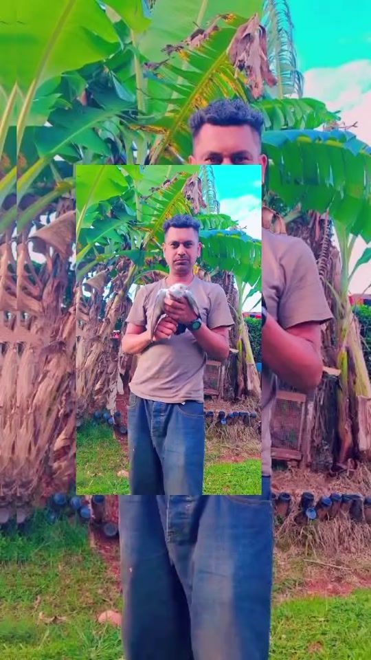 TikTok video thumbnail by kunaldeo15