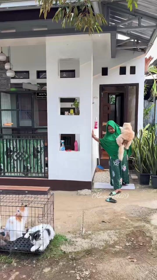 TikTok video thumbnail by kucingfatih69