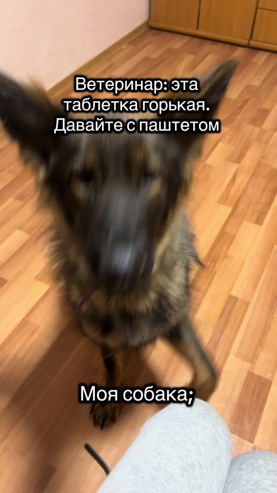 TikTok video thumbnail by twoi_kinolog