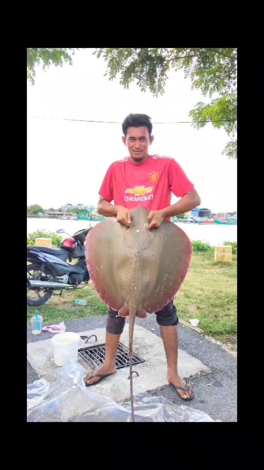 TikTok video thumbnail by khairulsurfcaster