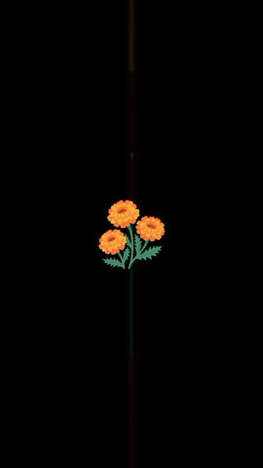 TikTok video thumbnail by nebrit49
