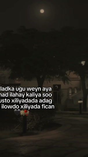 TikTok video thumbnail by sheikh_warya