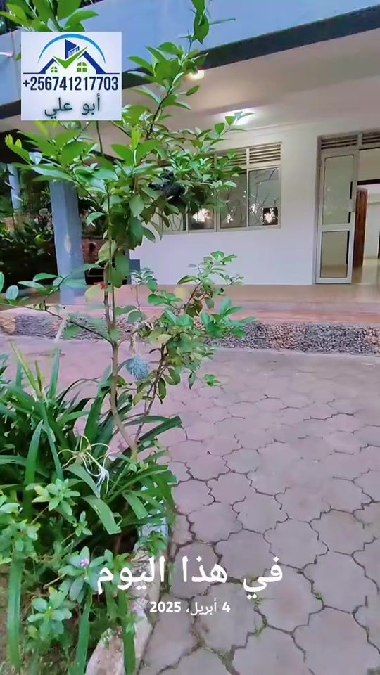 TikTok video thumbnail by altrify_