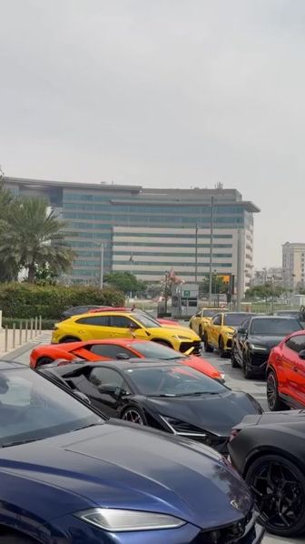 TikTok video thumbnail by juan.carlos.ullaur