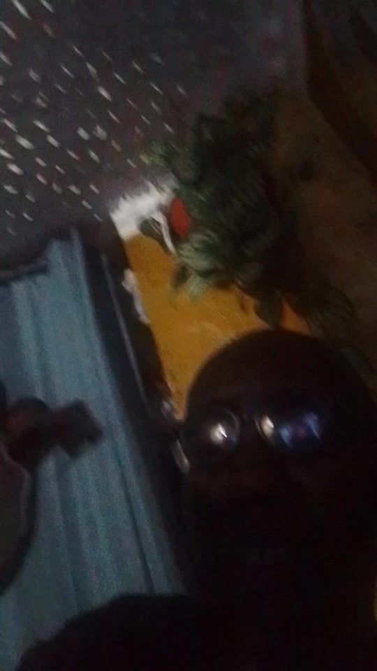 TikTok video thumbnail by anel_2332