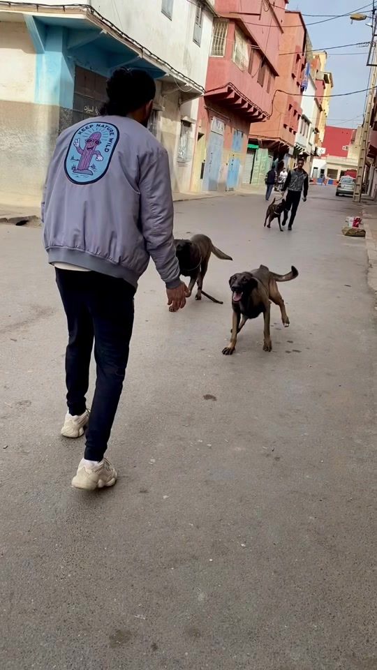 TikTok video thumbnail by ayoubboufares