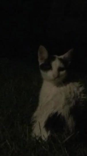 TikTok video thumbnail by darcness_0