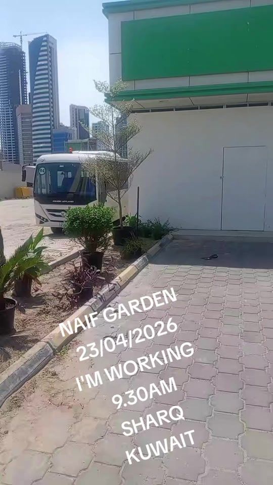 TikTok video thumbnail by user51000939