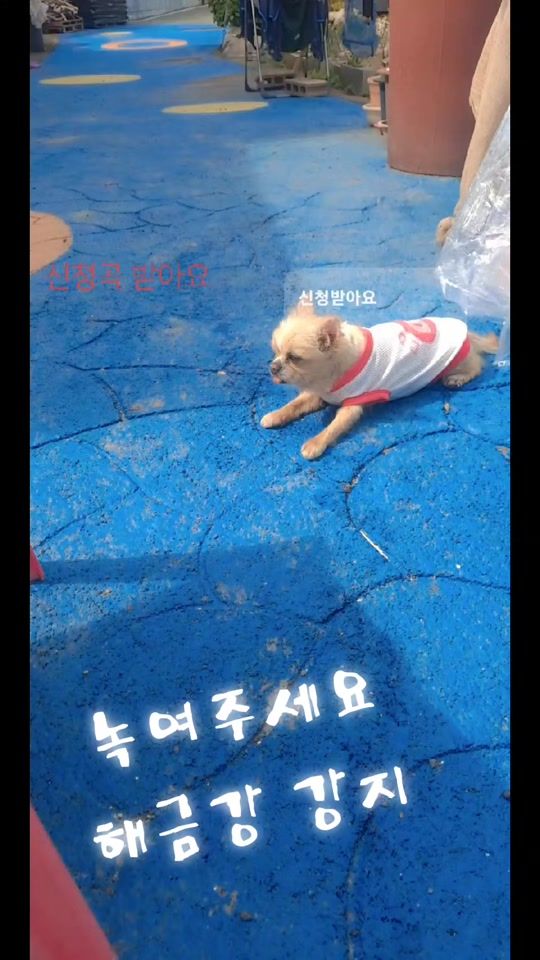 TikTok video thumbnail by hamyongtaeco.ltd