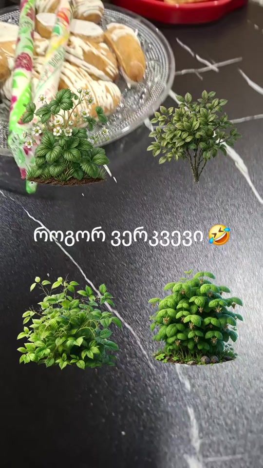 TikTok video thumbnail by tqventvisaravin1