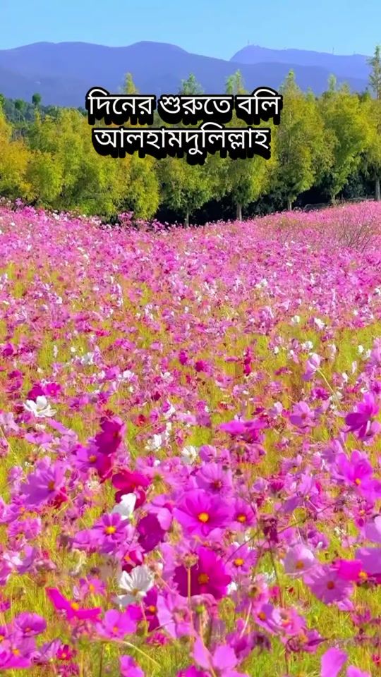 TikTok video thumbnail by islamicvideo.k3